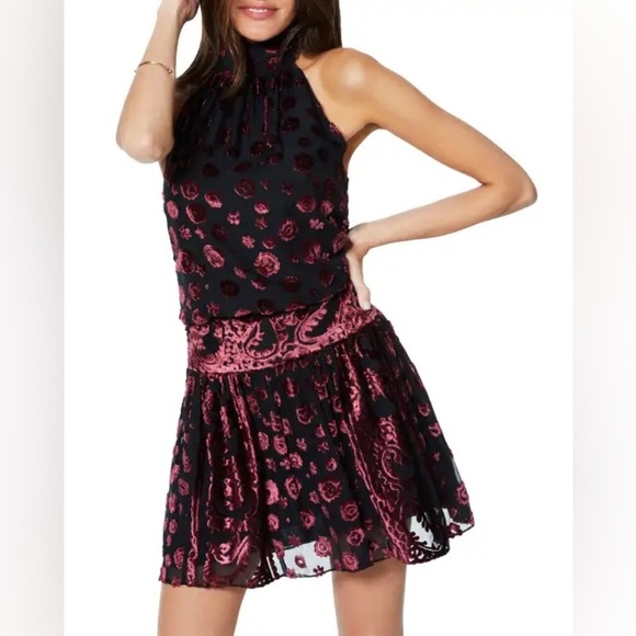 Ramy Brook Dresses & Skirts - Ramy Brook Velvet Floral Naima Black Purple Mini Dress